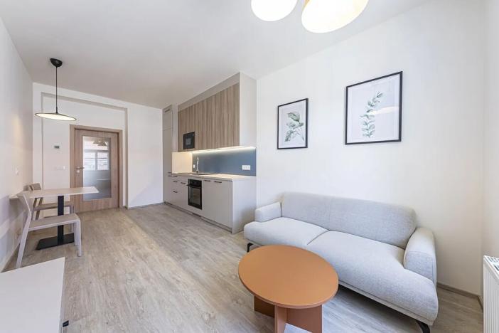 Pronájem bytu 2+kk, Praha - Nusle, Svatoslavova, 37 m2