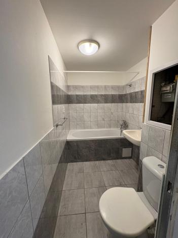 Pronájem bytu 1+1, Duchcov, V Domkách, 44 m2