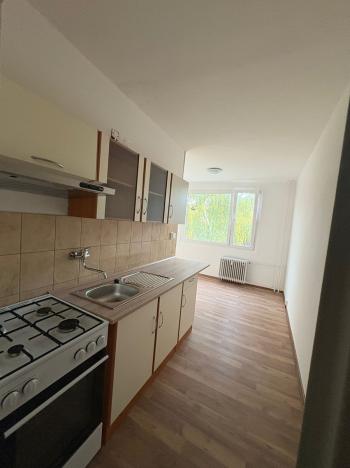 Pronájem bytu 1+1, Duchcov, V Domkách, 44 m2