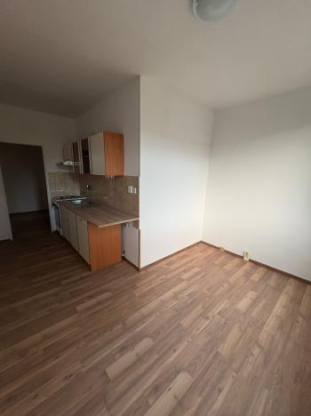 Pronájem bytu 1+1, Duchcov, V Domkách, 44 m2