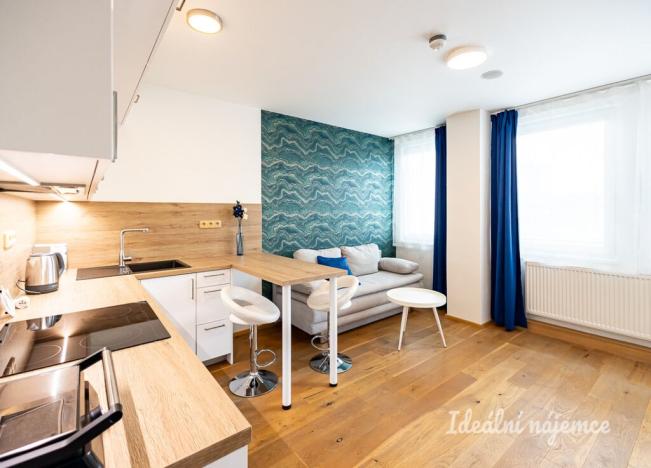 Pronájem bytu 1+kk, Praha - Vinohrady, Perucká, 26 m2