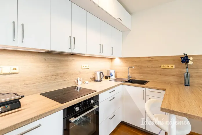 Pronájem bytu 1+kk, Praha - Vinohrady, Perucká, 26 m2