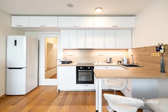 Pronájem bytu 1+kk, Praha - Vinohrady, Perucká, 26 m2