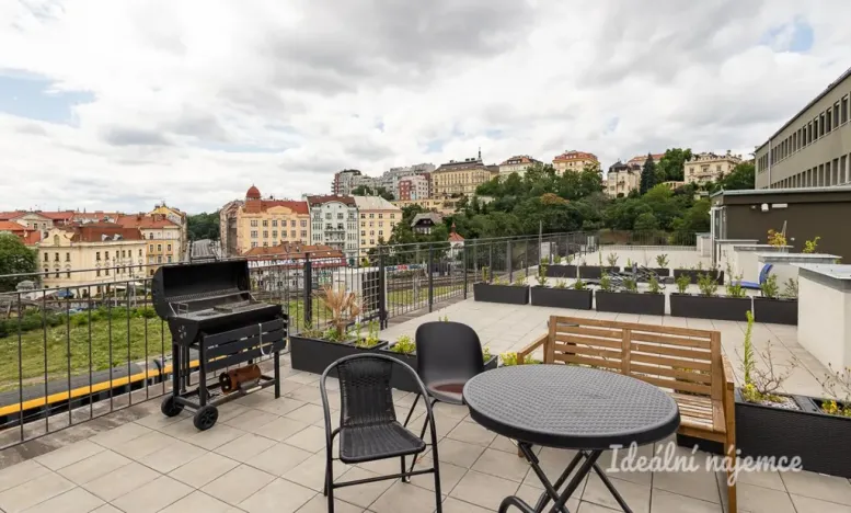 Pronájem bytu 1+kk, Praha - Vinohrady, Perucká, 26 m2