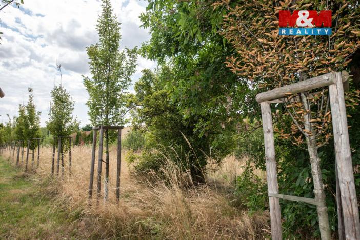 Pronájem zahrady, Pardubice, Pištorova, 1835 m2