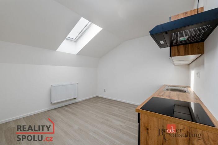 Pronájem bytu 2+kk, Břasy, 47 m2