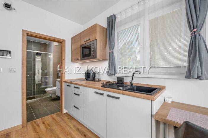 Prodej bytu 1+kk, Černá v Pošumaví, 20 m2