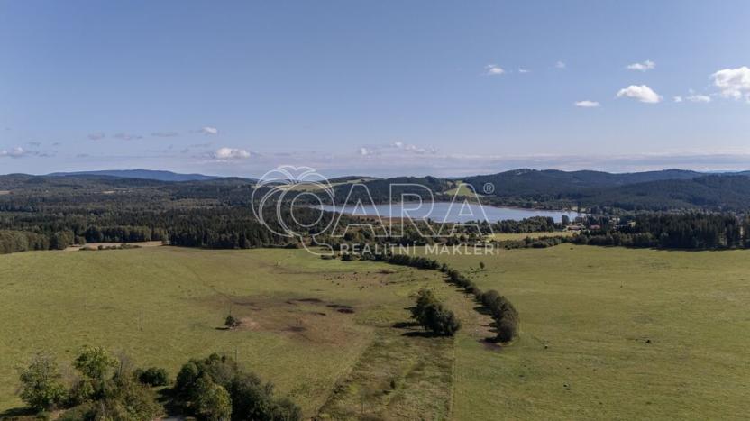 Prodej zemědělské usedlosti, Horní Planá - Hodňov, 617 m2