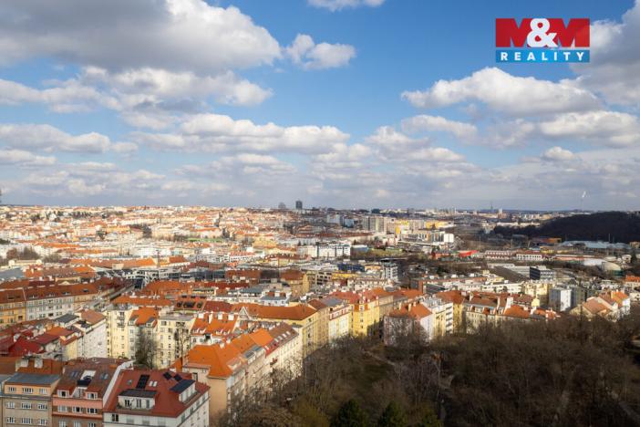 Prodej bytu 4+1, Praha - Nusle, U družstva Repo, 102 m2