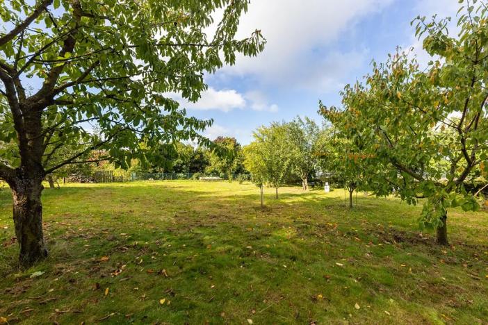 Prodej zemědělské usedlosti, Sklené nad Oslavou, 330 m2