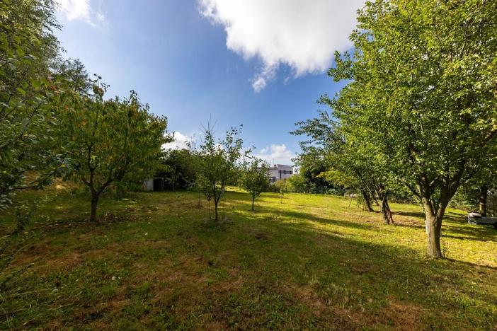 Prodej zemědělské usedlosti, Sklené nad Oslavou, 330 m2