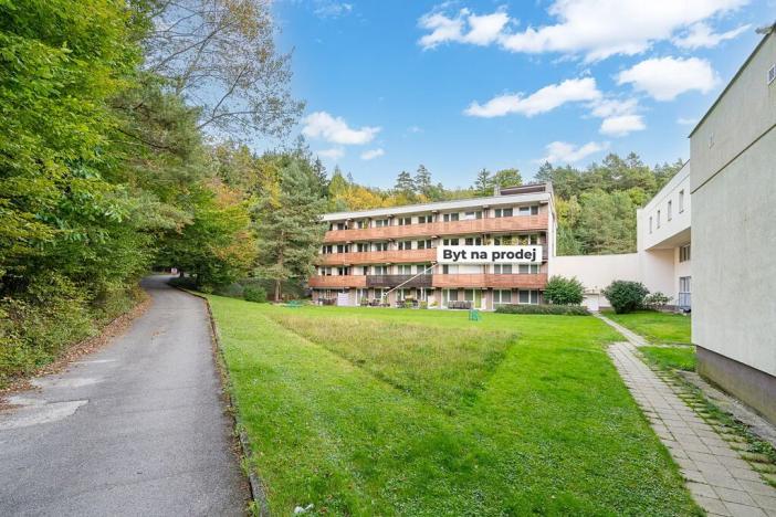 Prodej bytu 1+kk, Všemina, 23 m2