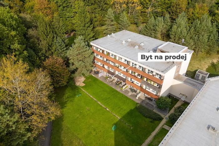 Prodej bytu 1+kk, Všemina, 23 m2