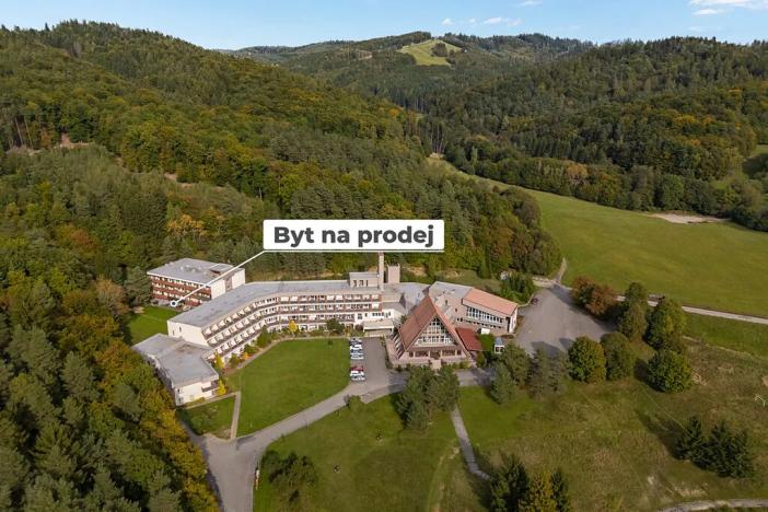 Prodej bytu 1+kk, Všemina, 23 m2