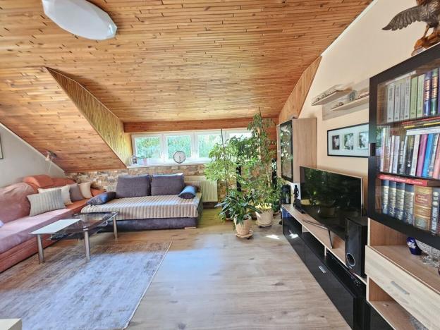 Prodej komerční nemovitosti, Brno - Černovice, Vinohradská, 350 m2