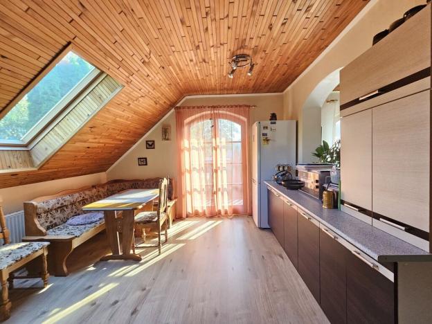 Prodej komerční nemovitosti, Brno - Černovice, Vinohradská, 350 m2