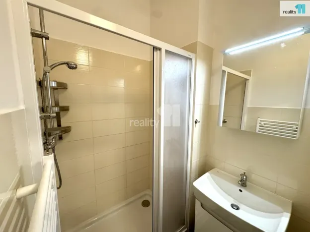 Pronájem bytu 3+kk, Praha - Nusle, Svatoplukova, 55 m2