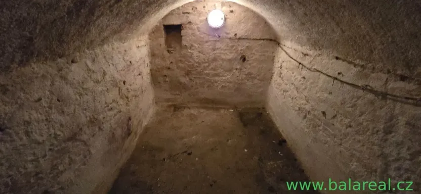 Prodej rodinného domu, Prusy-Boškůvky - Moravské Prusy, 100 m2