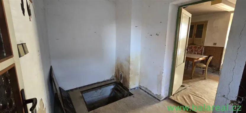 Prodej rodinného domu, Prusy-Boškůvky - Moravské Prusy, 100 m2