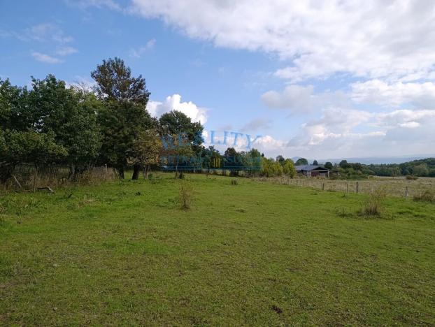 Prodej pozemku pro bydlení, Lovečkovice - Mukařov, 3539 m2