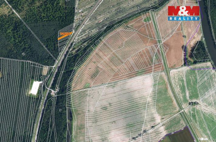 Prodej lesa, Břeclav, 261 m2