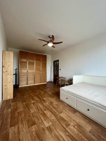 Pronájem bytu 1+1, Ostrava - Slezská Ostrava, Bohumínská, 33 m2