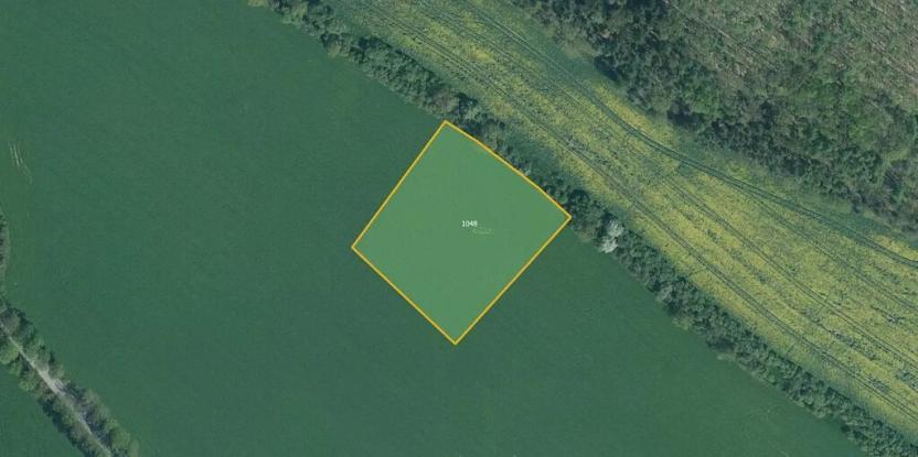 Prodej pole, Chocomyšl, 6221 m2