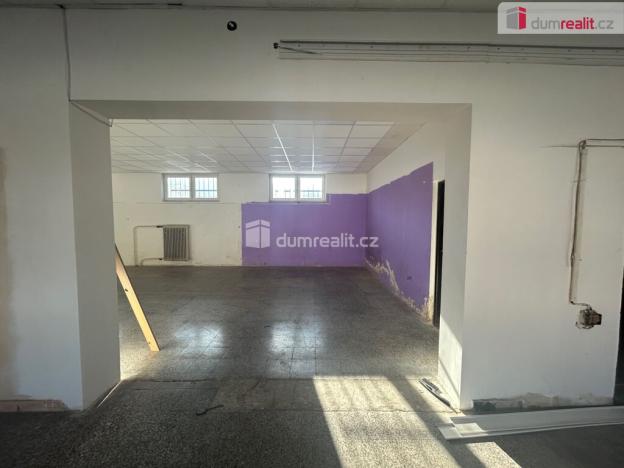 Pronájem obchodního prostoru, Kolín - Kolín V, Třídvorská, 324 m2