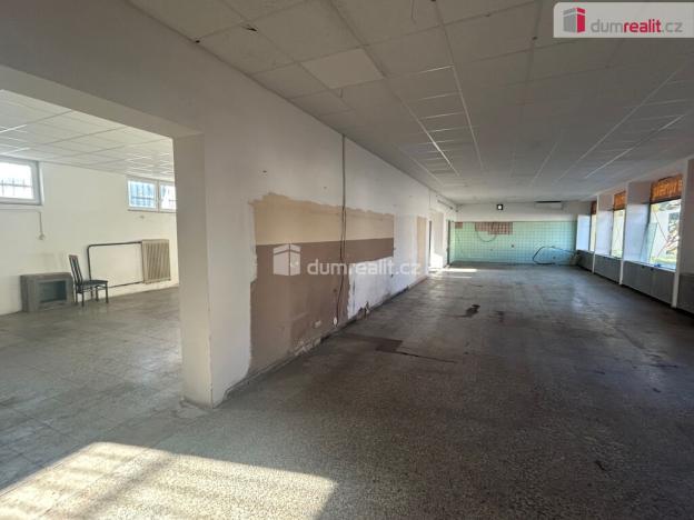 Pronájem obchodního prostoru, Kolín - Kolín V, Třídvorská, 324 m2