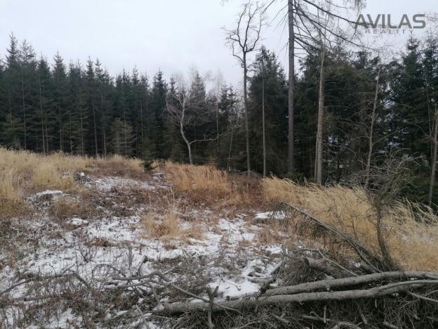 Prodej lesa, Votice - Hory, 11862 m2