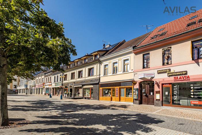 Prodej vícegeneračního domu, Benešov, Masarykovo náměstí, 256 m2