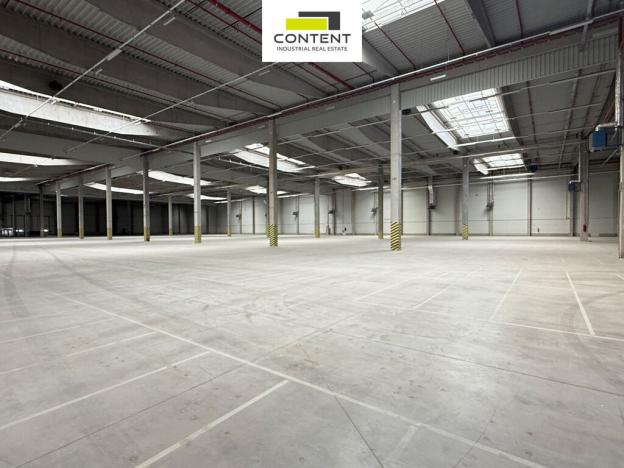 Pronájem výrobních prostor, Kozomín, 8204 m2