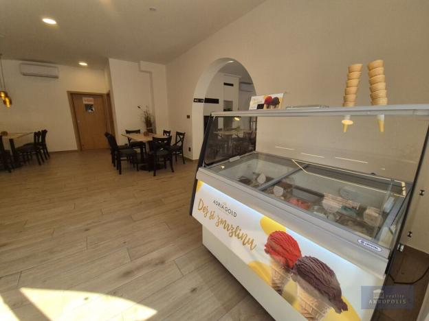 Pronájem ubytování, Klentnice, 822 m2