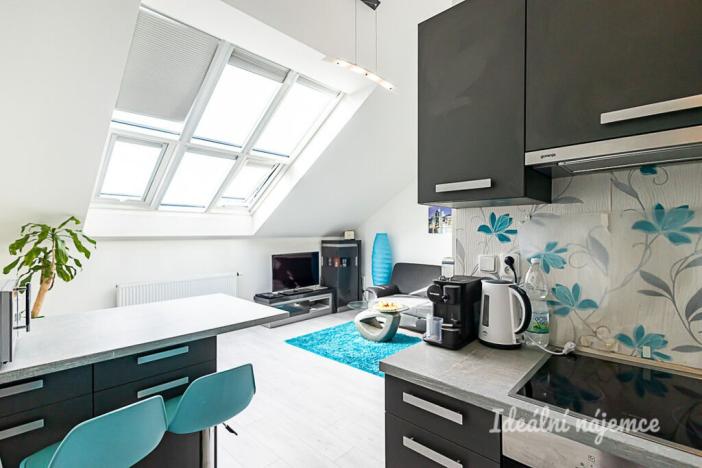 Pronájem bytu 2+kk, Praha - Nové Město, Sokolská, 49 m2