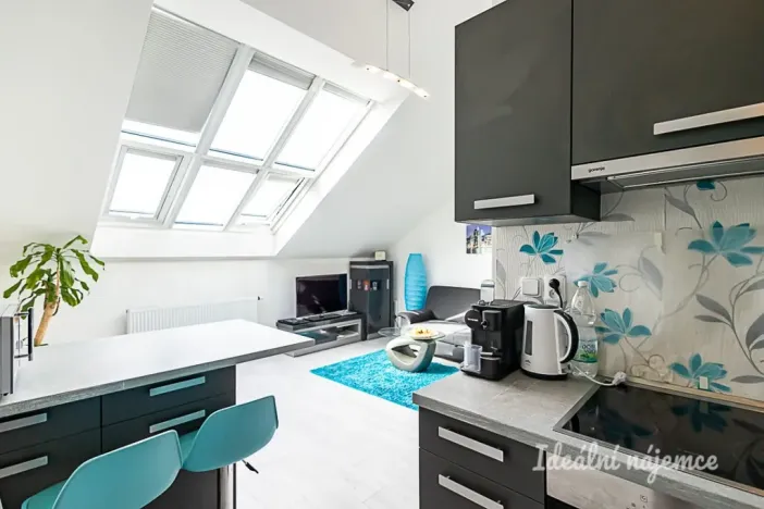 Pronájem bytu 2+kk, Praha - Nové Město, Sokolská, 49 m2