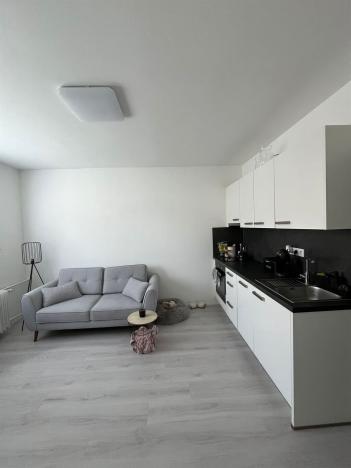 Pronájem bytu 1+1, Františkovy Lázně, Anglická, 37 m2