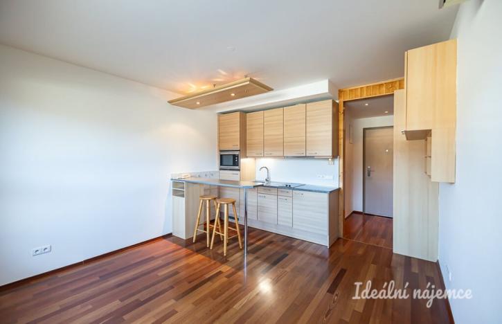 Pronájem bytu 1+kk, Praha - Vysočany, Podnádražní, 22 m2
