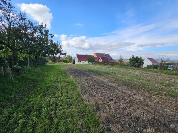 Prodej pozemku pro bydlení, Skoronice, 2691 m2