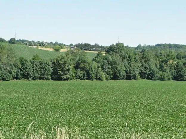 Prodej pole, Tučapy, 5481 m2