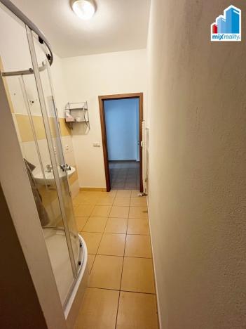 Pronájem bytu 2+kk, Plzeň, U Ježíška, 44 m2