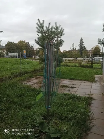 Prodej bytu 3+kk, Milovice, Armádní, 61 m2