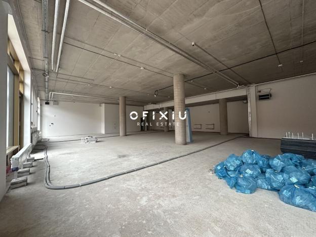 Pronájem obchodního prostoru, Brno, Trnitá, 420 m2