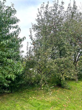 Prodej rodinného domu, Šenov u Nového Jičína, 130 m2