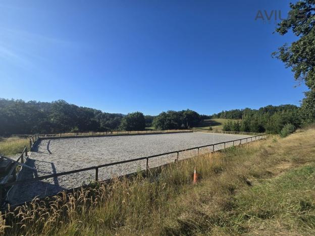 Prodej komerční nemovitosti, Týnec nad Sázavou - Krusičany, 220 m2