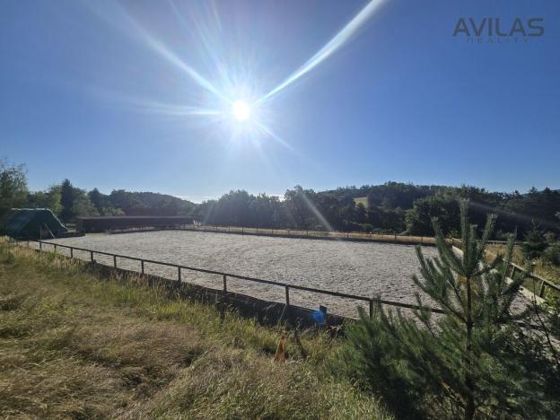 Prodej komerční nemovitosti, Týnec nad Sázavou - Krusičany, 220 m2