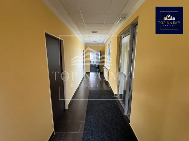 Pronájem kanceláře, Ostrava, Opavská, 150 m2