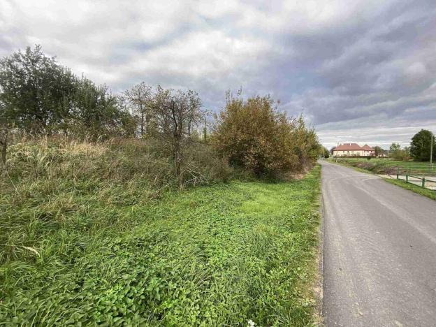 Prodej pozemku, Javorník - Horní Hoštice, 1691 m2