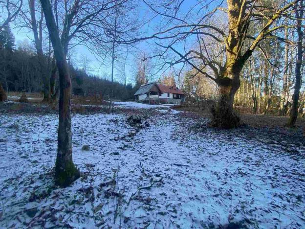 Prodej pozemku, Čachrov - Javorná, 12768 m2