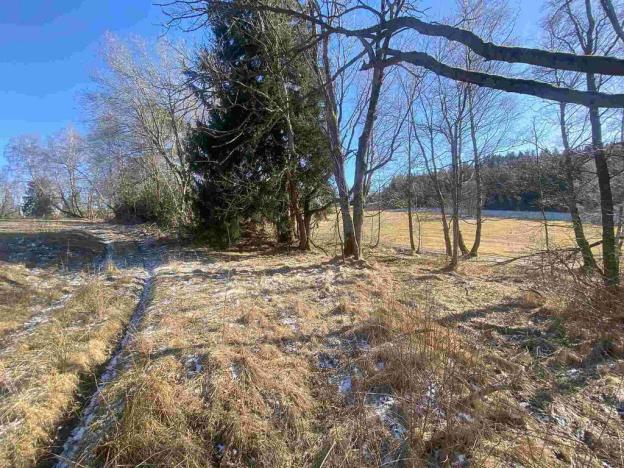 Prodej pozemku, Čachrov - Javorná, 12768 m2