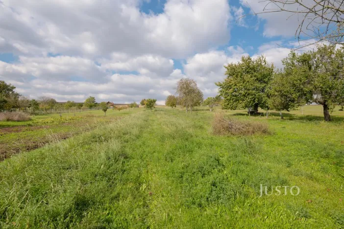 Prodej garáže, Těmice, 38 m2